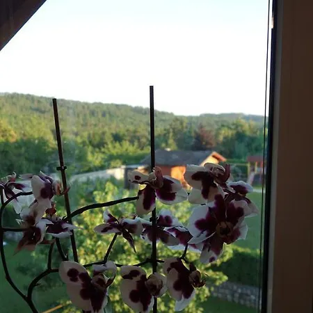 Apartment Beks Postojna