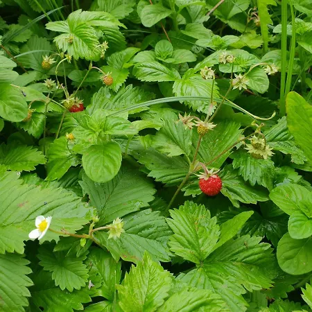 Διαμέρισμα Beks